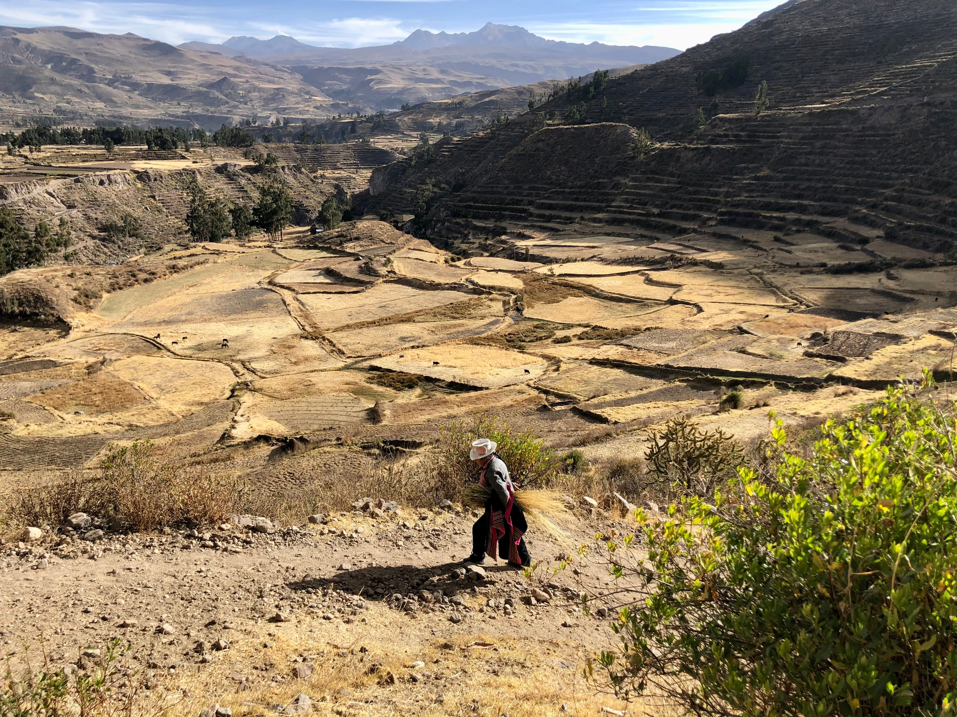 Camino Inca a Machu Picchu